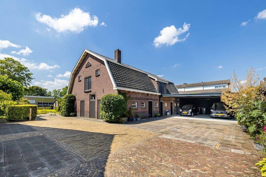 SHOWROOM DRAGONHEART BESUCHEN