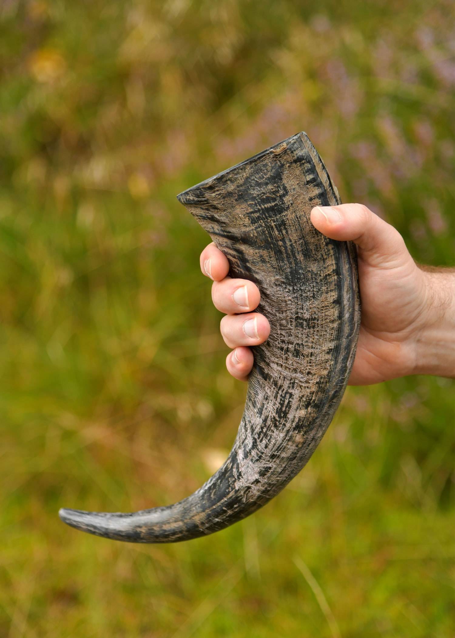 Viking Drinkhoorn van Buffelhoorn, ca. 700 ml.