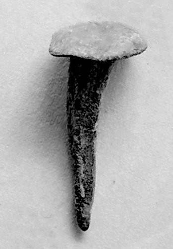 Mittelalter Geschmiedete Nagel 60mm (10stuks)