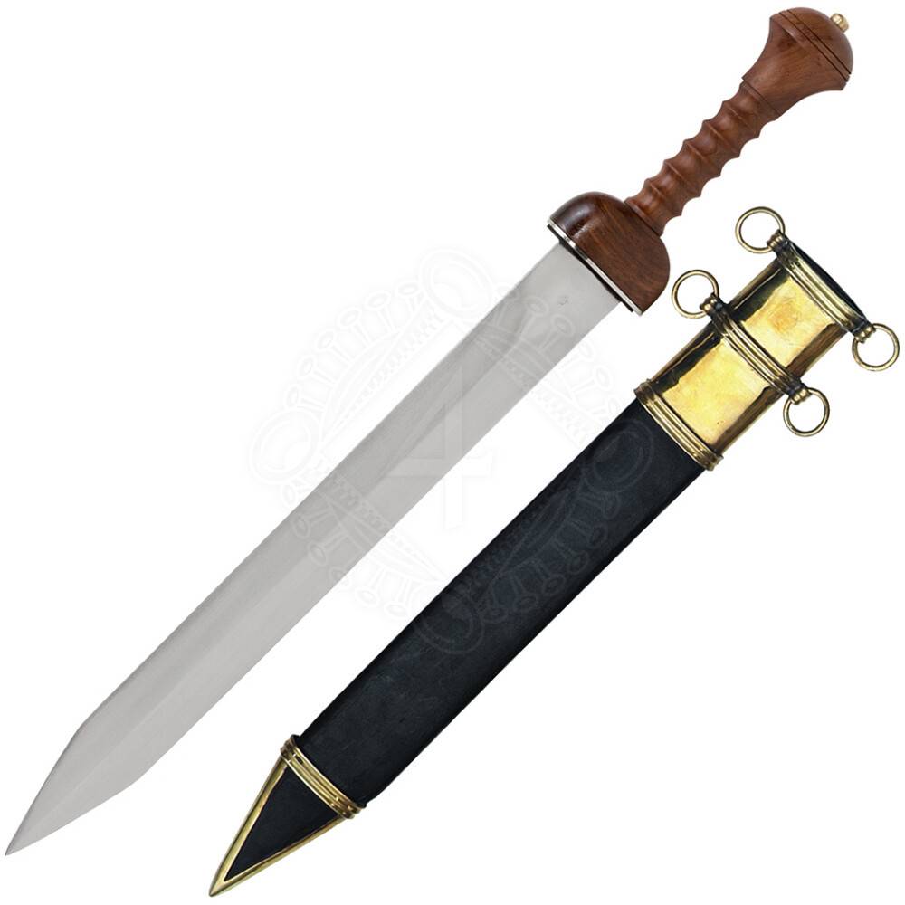 Roman Gladius Schwert