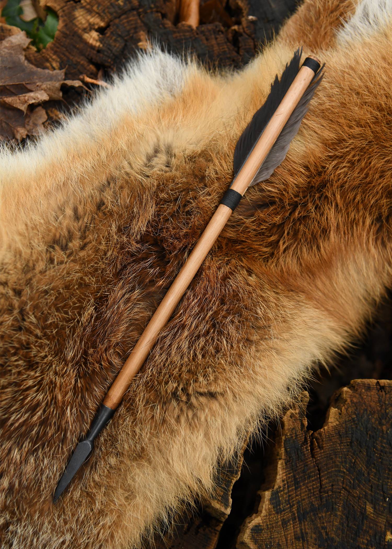 Armbrust Pfeil