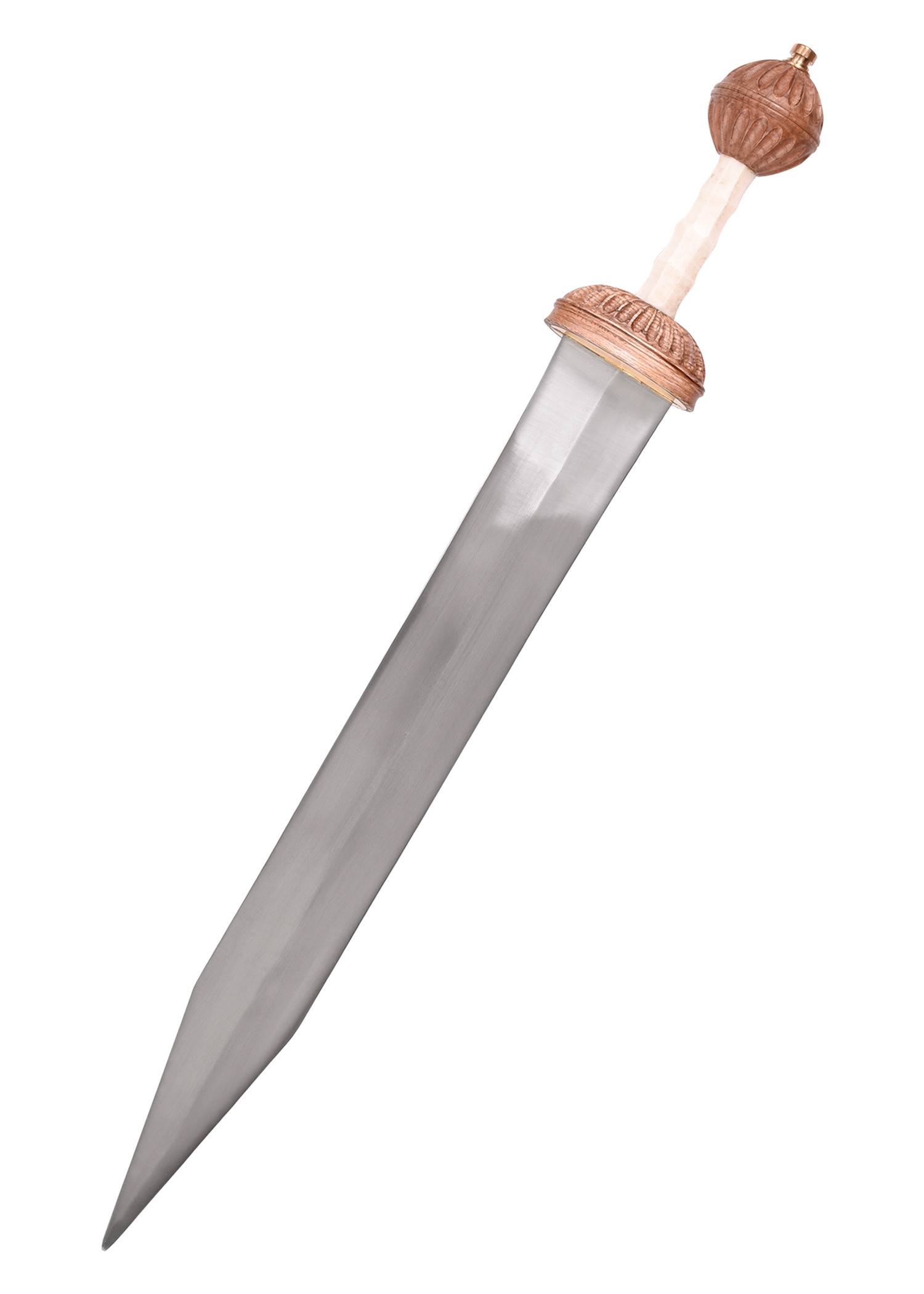 Fulham Gladius Mainz type, with scabbard
