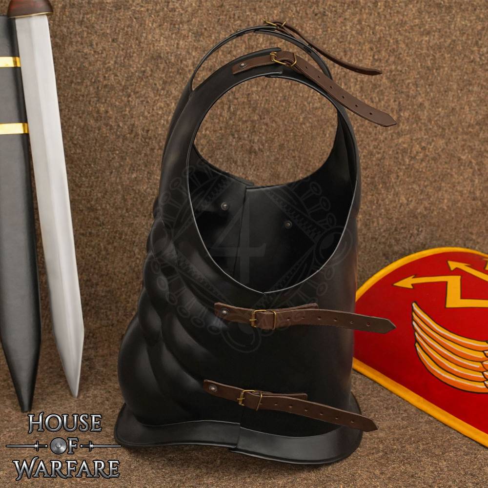 Zwart Romeins Borstpantser
