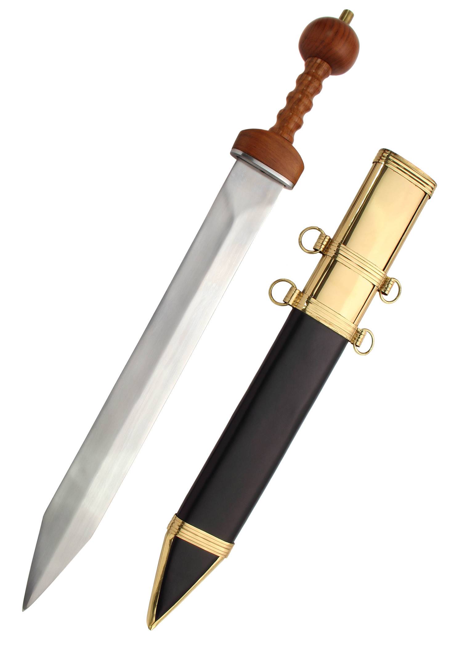 Roman Gladius Pompeji mit Scheide
