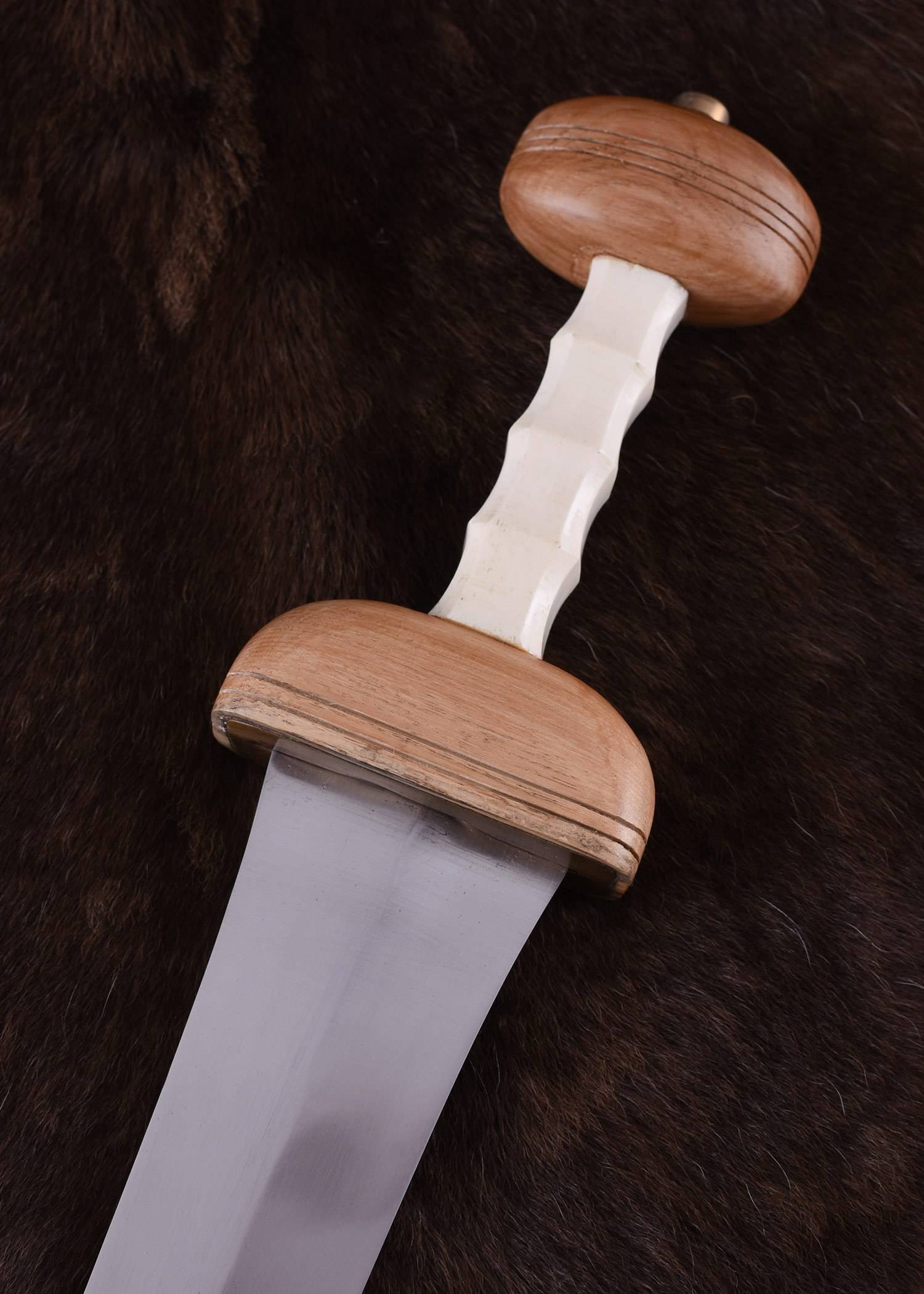Römischer Gladius Typ Mainz mit Scheide, 1. Jh.