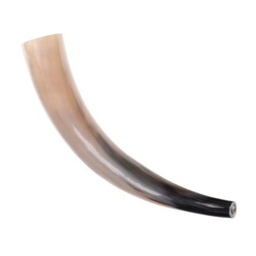 Wikinger Rufhorn - Signalhorn 45-50 cm lang poliert