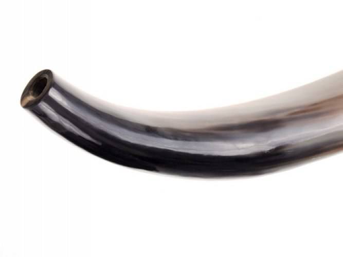 Wikinger Rufhorn - Signalhorn 45-50 cm lang poliert