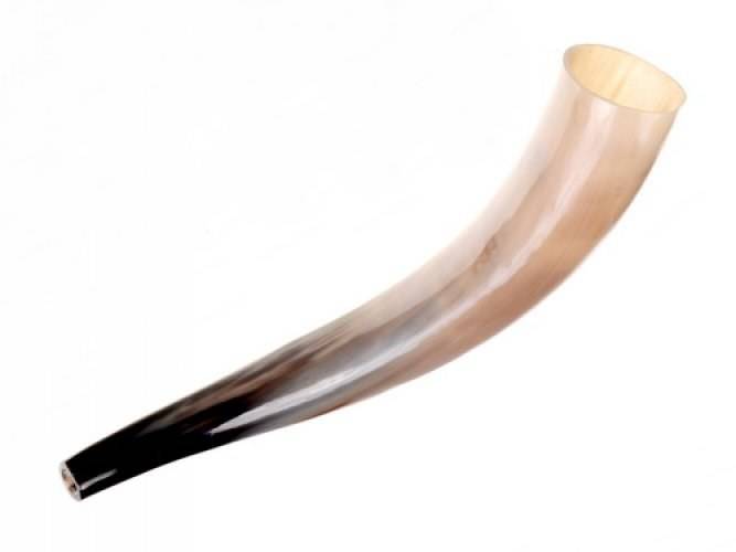 Wikinger Rufhorn - Signalhorn 45-50 cm lang poliert