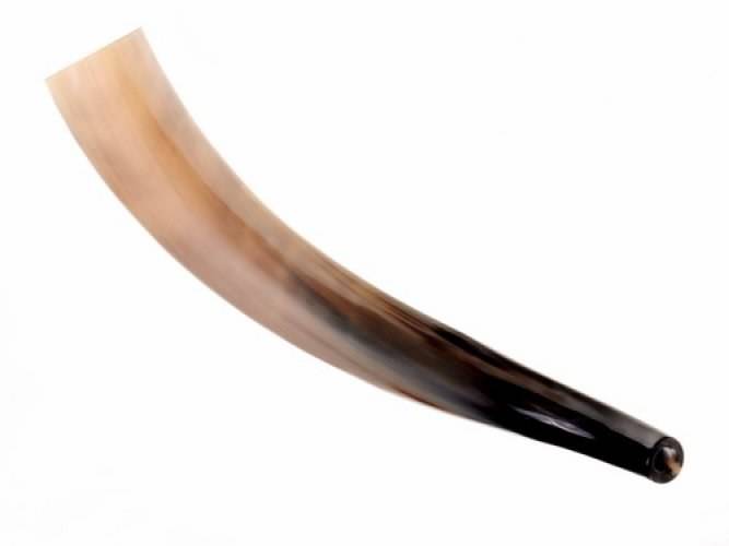 Wikinger Rufhorn - Signalhorn 45-50 cm lang poliert