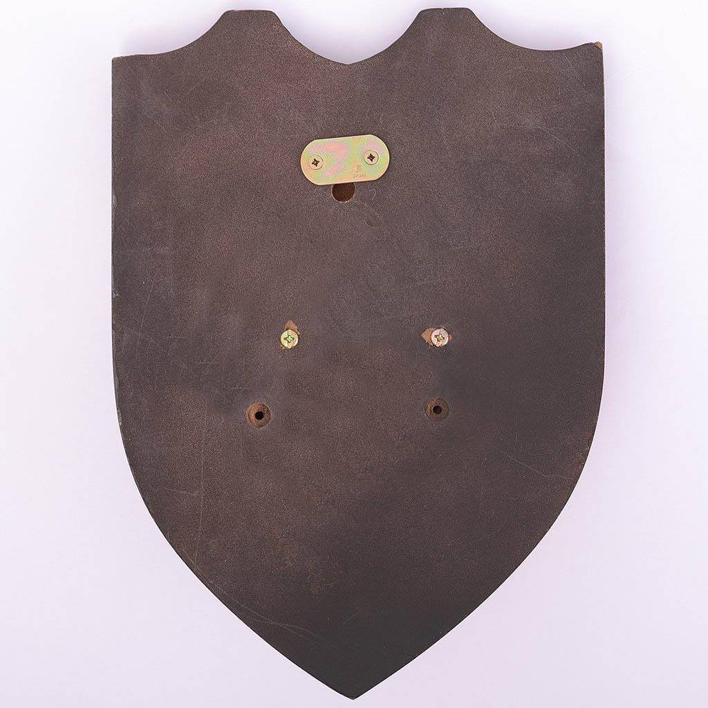 Schildwandbord, wandhouder voor Excalibur zwaard