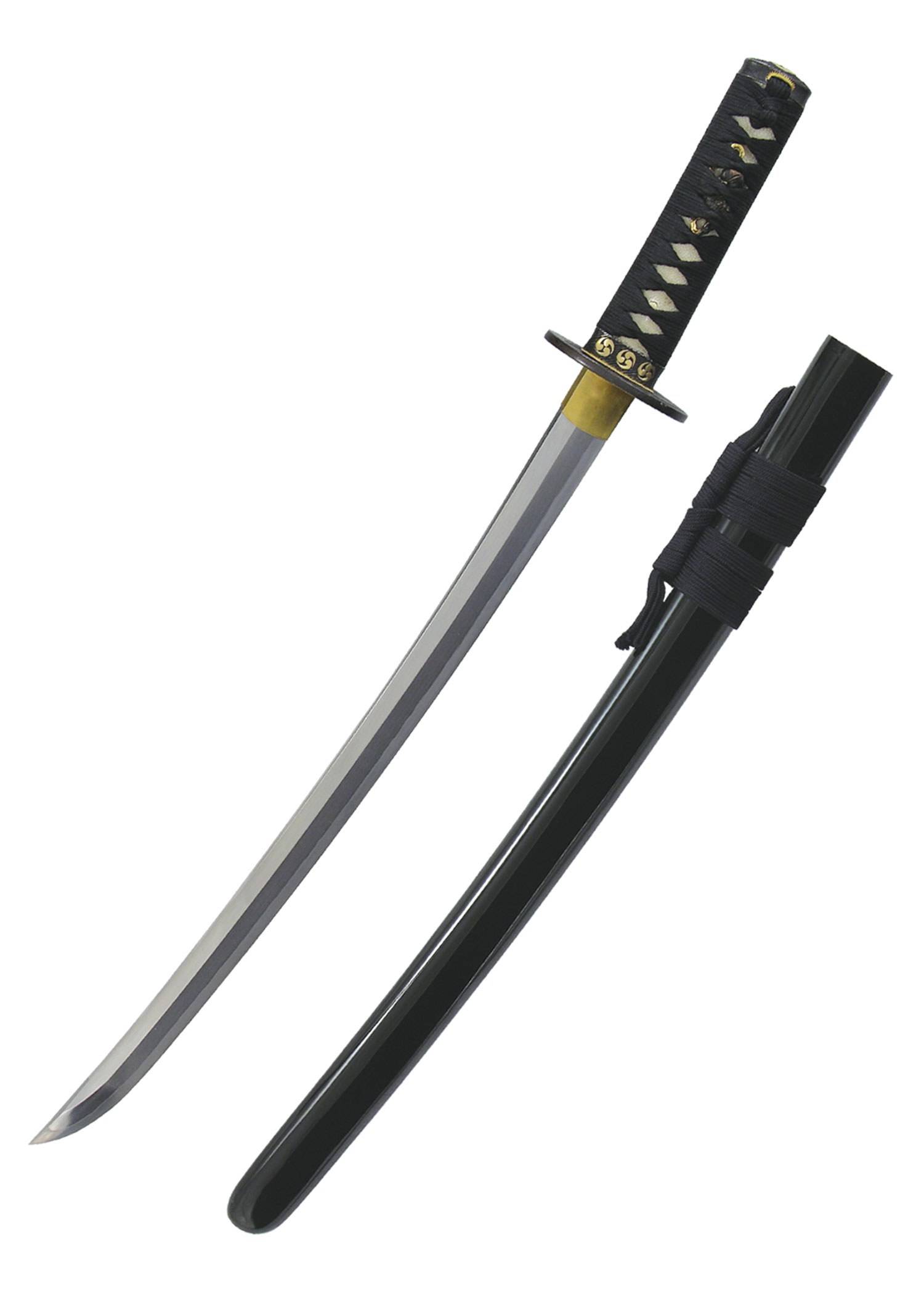 ​Hanwei Wind and Thunder Wakizashi