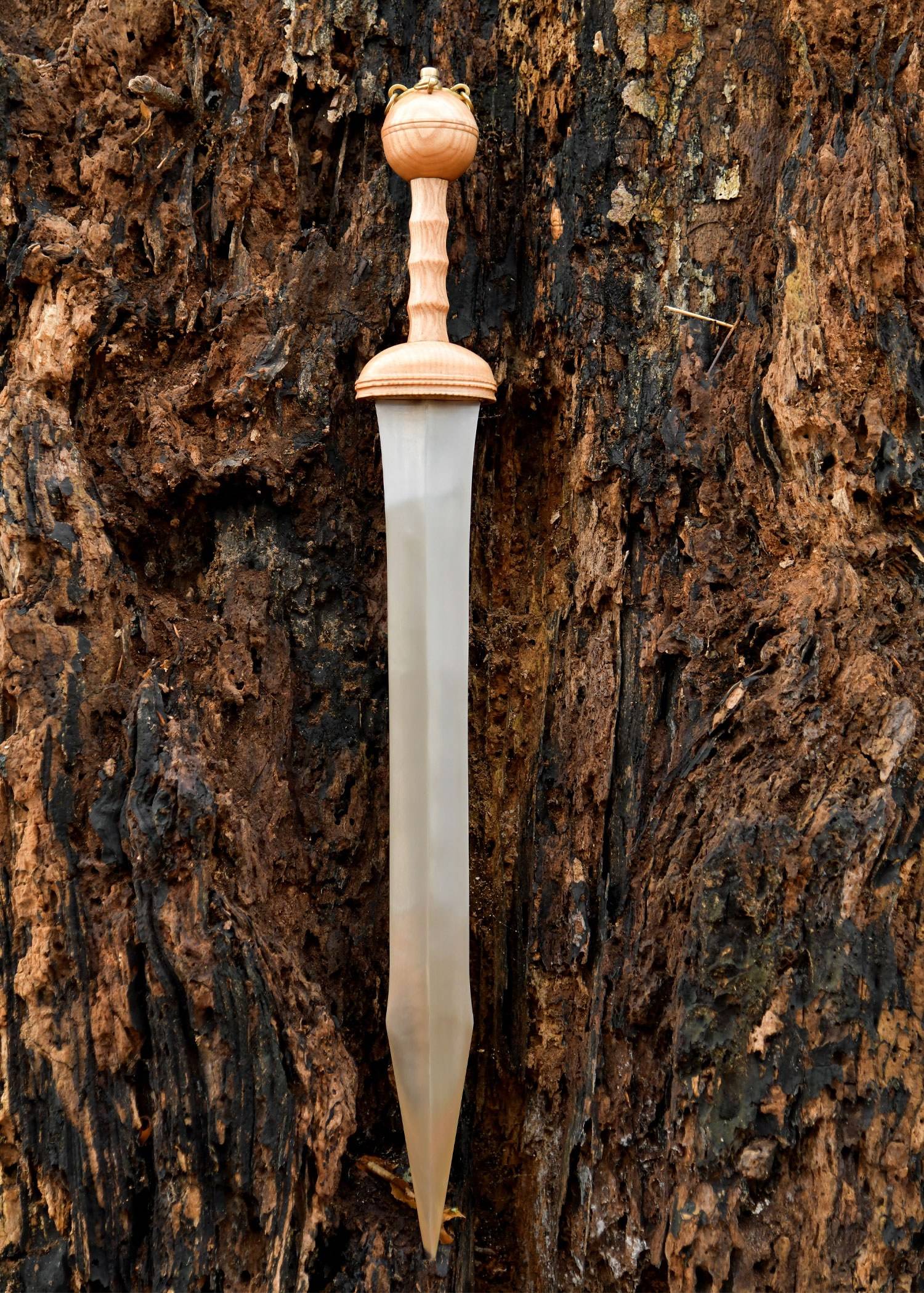 Gladius van Dubravica, Romeins zwaard met schede, 1e eeuws