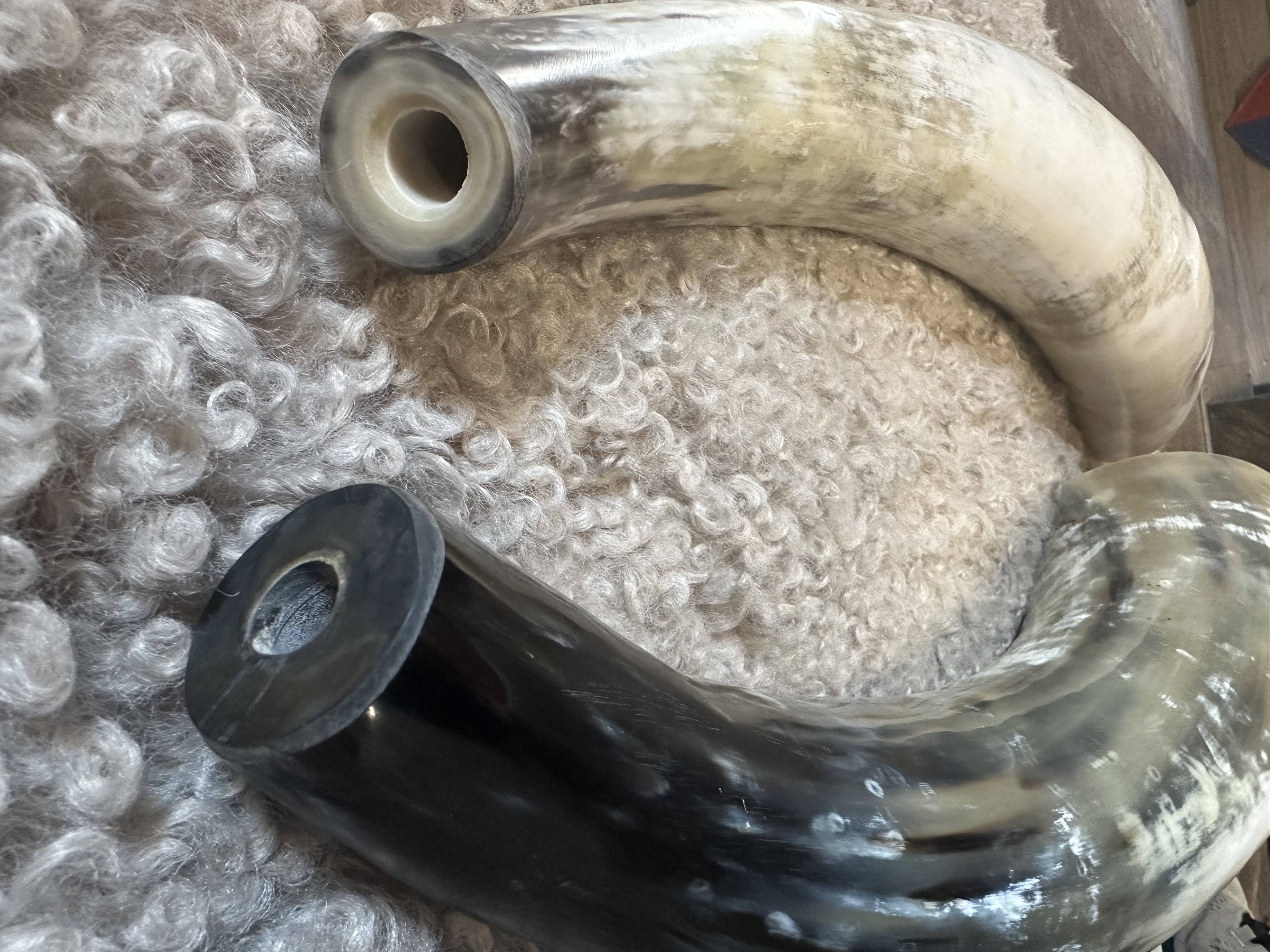 Wikinger Rufhorn, Poliert ca. 2000 - 2490 ml