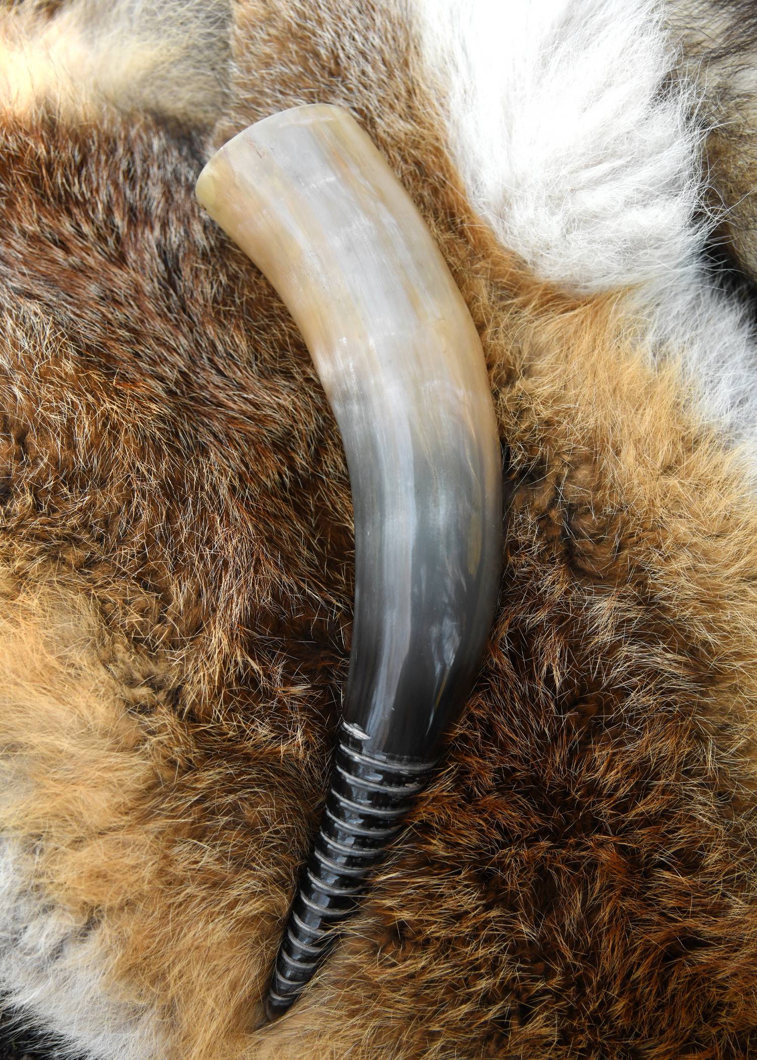 Viking drinkhoorn met spiraalvormig snijwerk