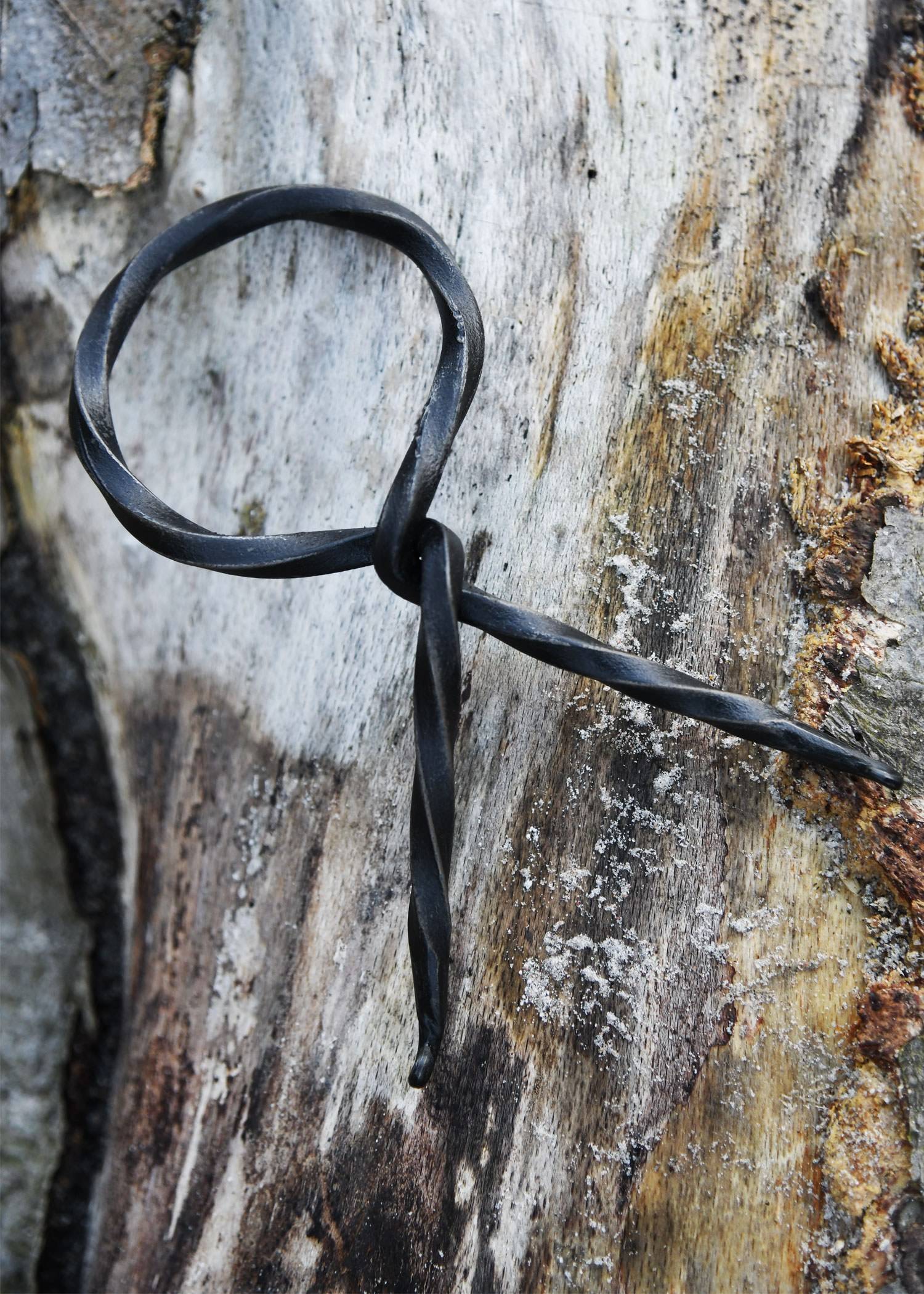 Viking Drinkhoorn met Standaard Vegvísir