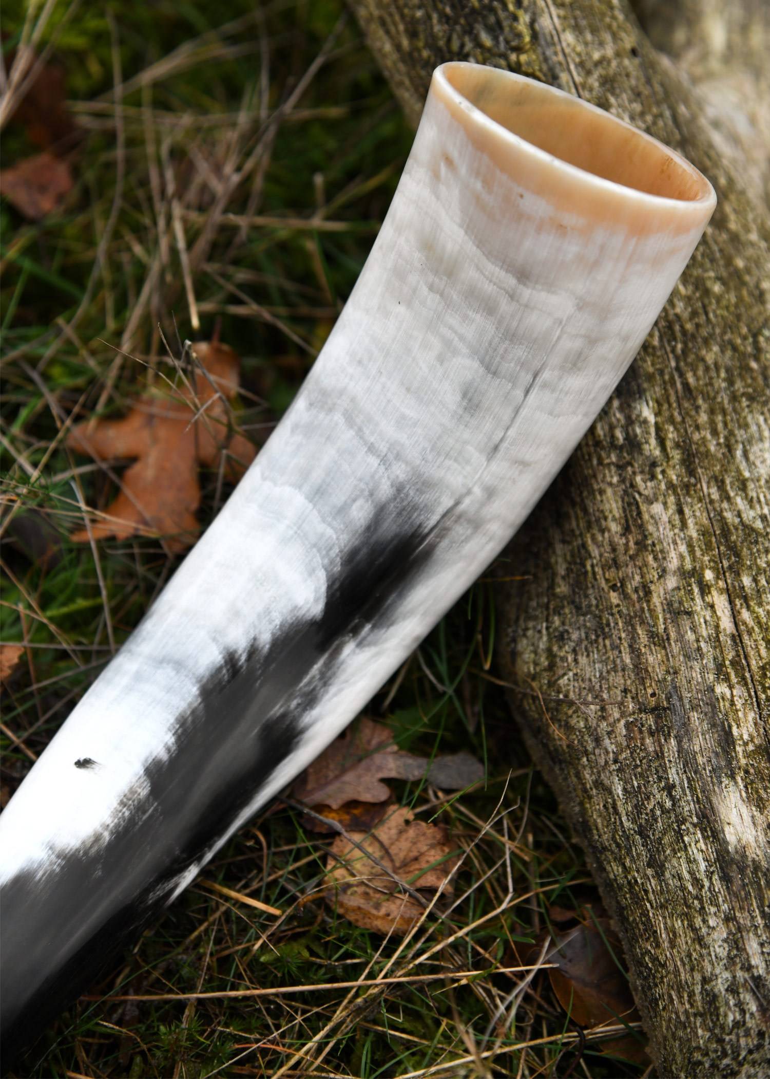 Viking Drinkhoorn van Hoorn met Raven in Knooppatroon