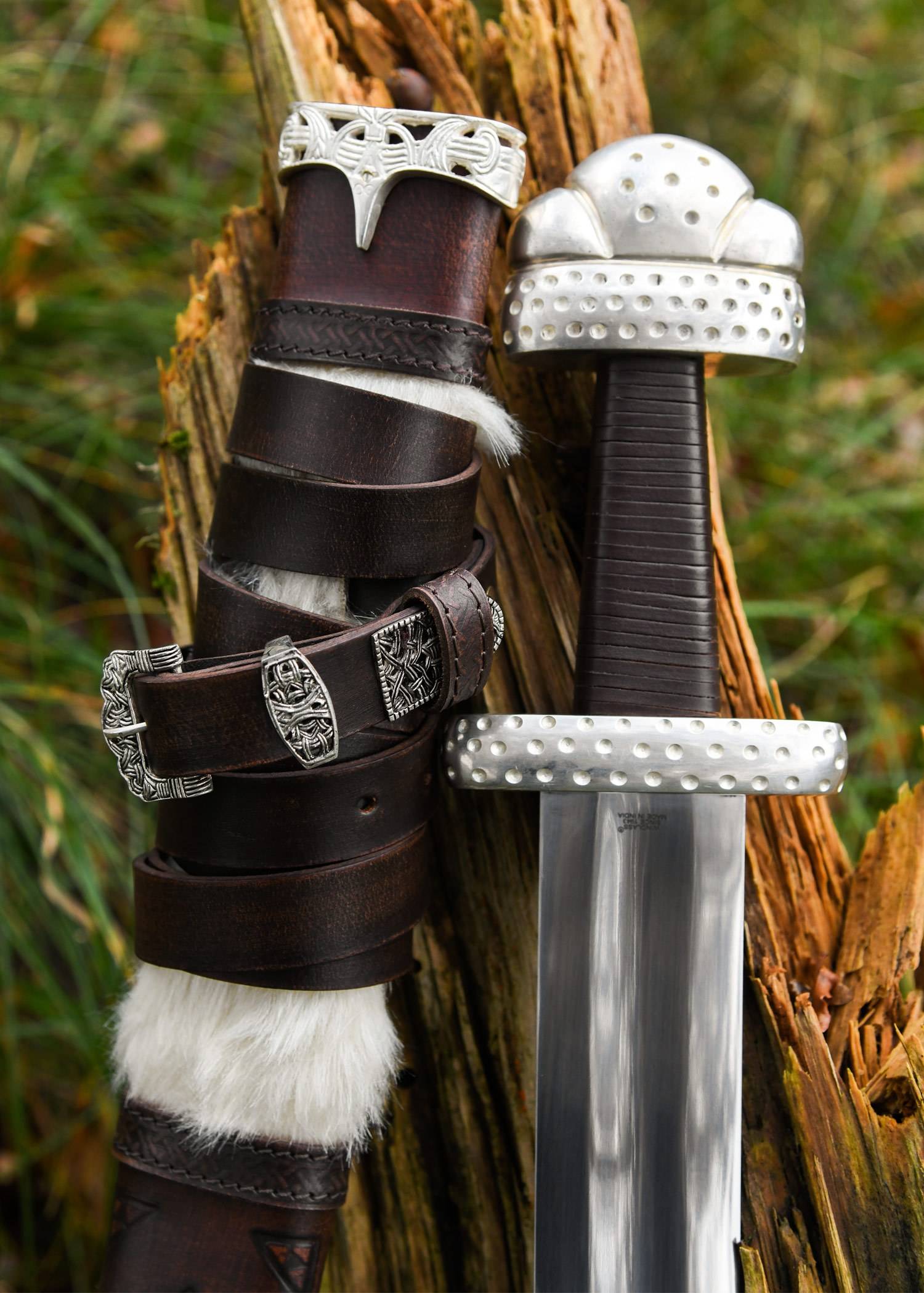 Zwaard van de Vikingkoning